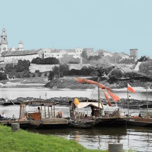 Museum Harbour