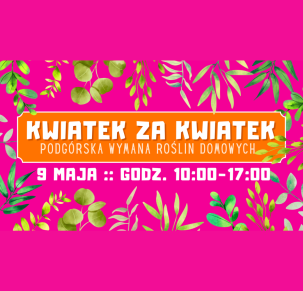 Kwiatek za kwiatek – podgórska wymiana roślin domowych