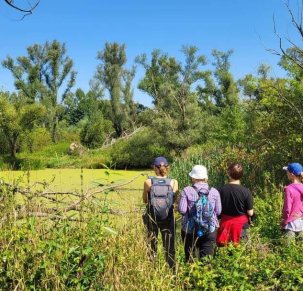 Traszki i ważki- wyprawa przyrodnicza galarem do lasów łęgowych